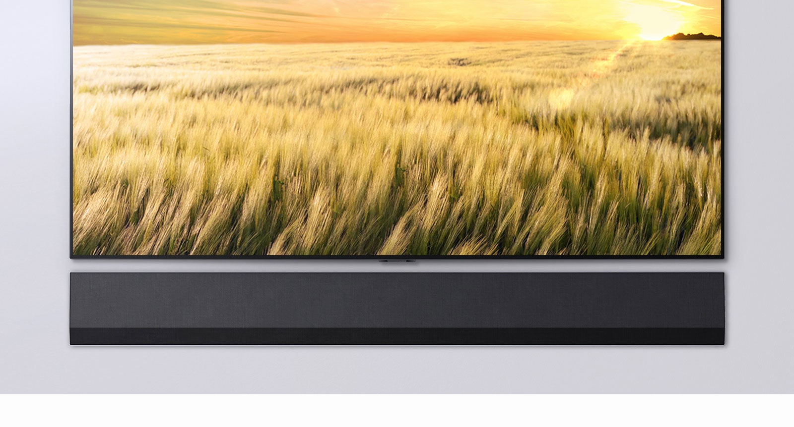 A front-facing view of a TV and Soundbar. The TV shows a field of reeds at sunset.